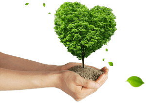 Dona un albero